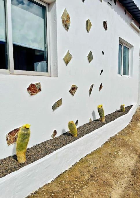 El Paraiso Escondido Santa Cruz de Tenerife Exterior foto